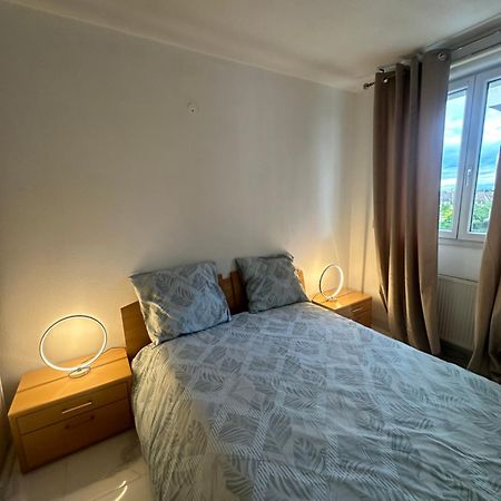 Apartmán Tres Beau Trois Pieces Avec Vue Degagee Štrasburk Exteriér fotografie