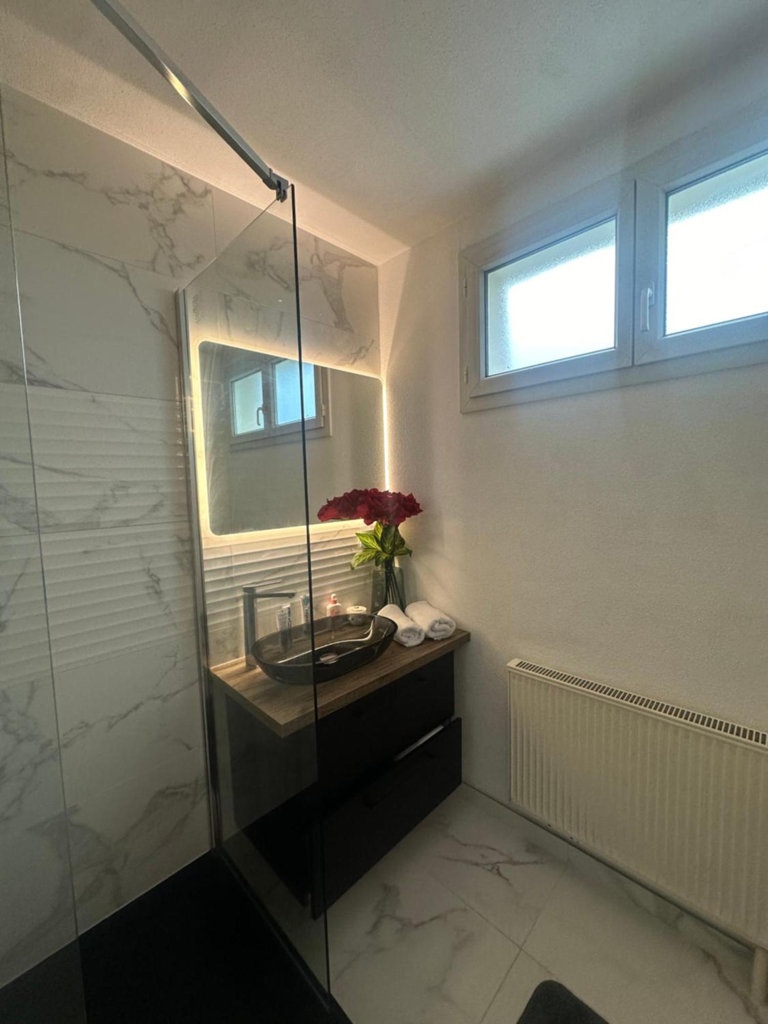 Apartmán Tres Beau Trois Pieces Avec Vue Degagee Štrasburk Exteriér fotografie