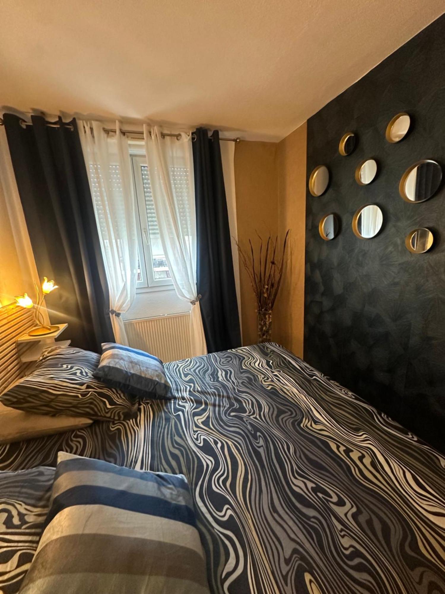 Apartmán Tres Beau Trois Pieces Avec Vue Degagee Štrasburk Exteriér fotografie